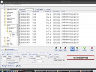 File Renaming
 