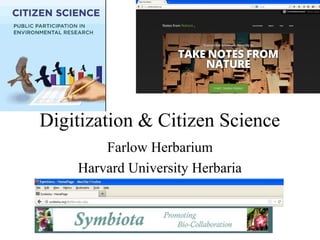 Digitization & Citizen Science
Farlow Herbarium
Harvard University Herbaria
 