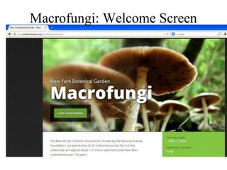 Macrofungi: Welcome Screen
 