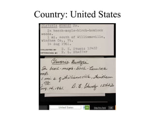 Country: United States
 