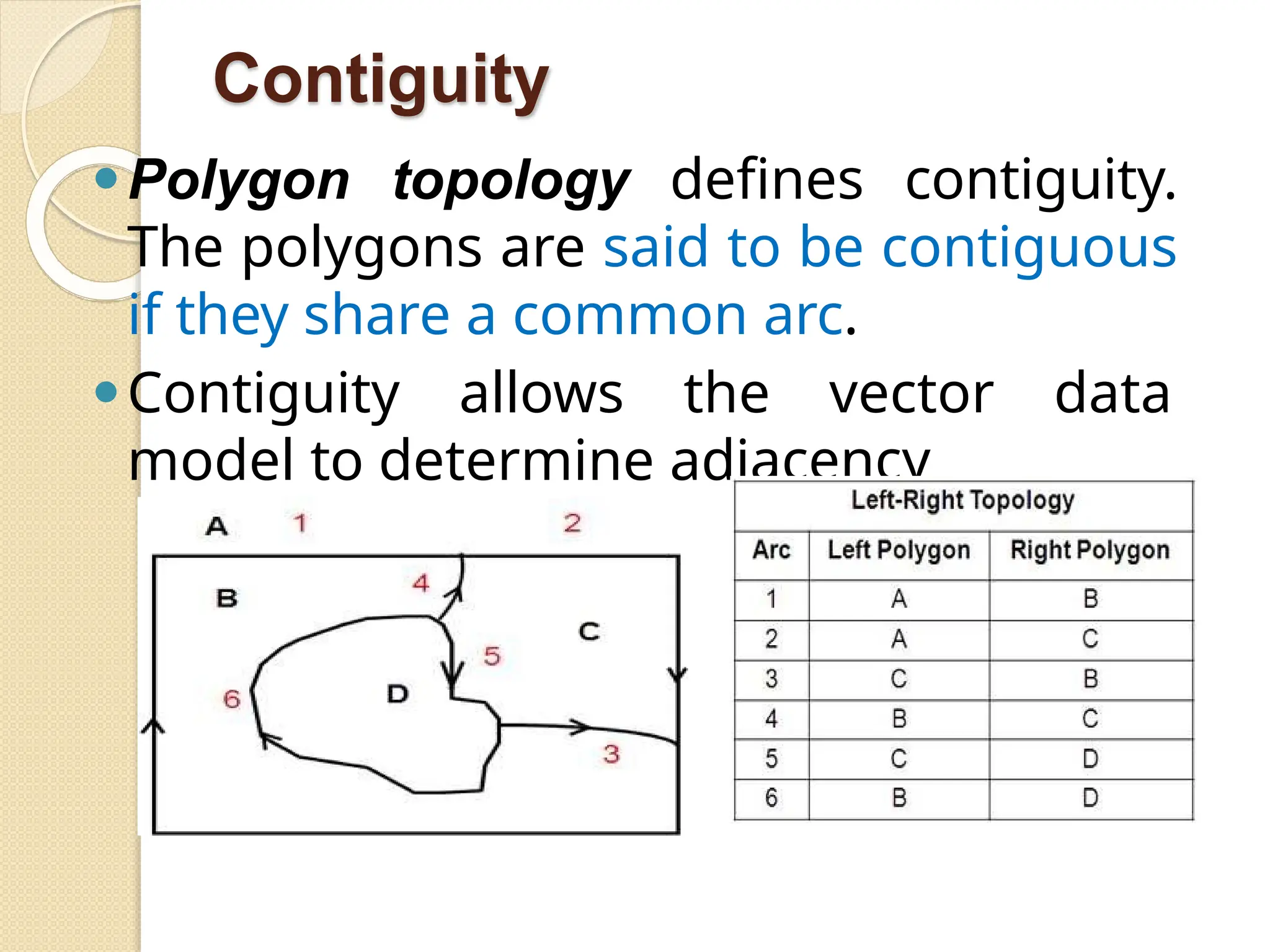 Contiguity
⚫Polygon topology defines contiguity.
The polygons are said to be contiguous
if they share a common arc.
⚫Contiguity allows the vector data
model to determine adjacency
 