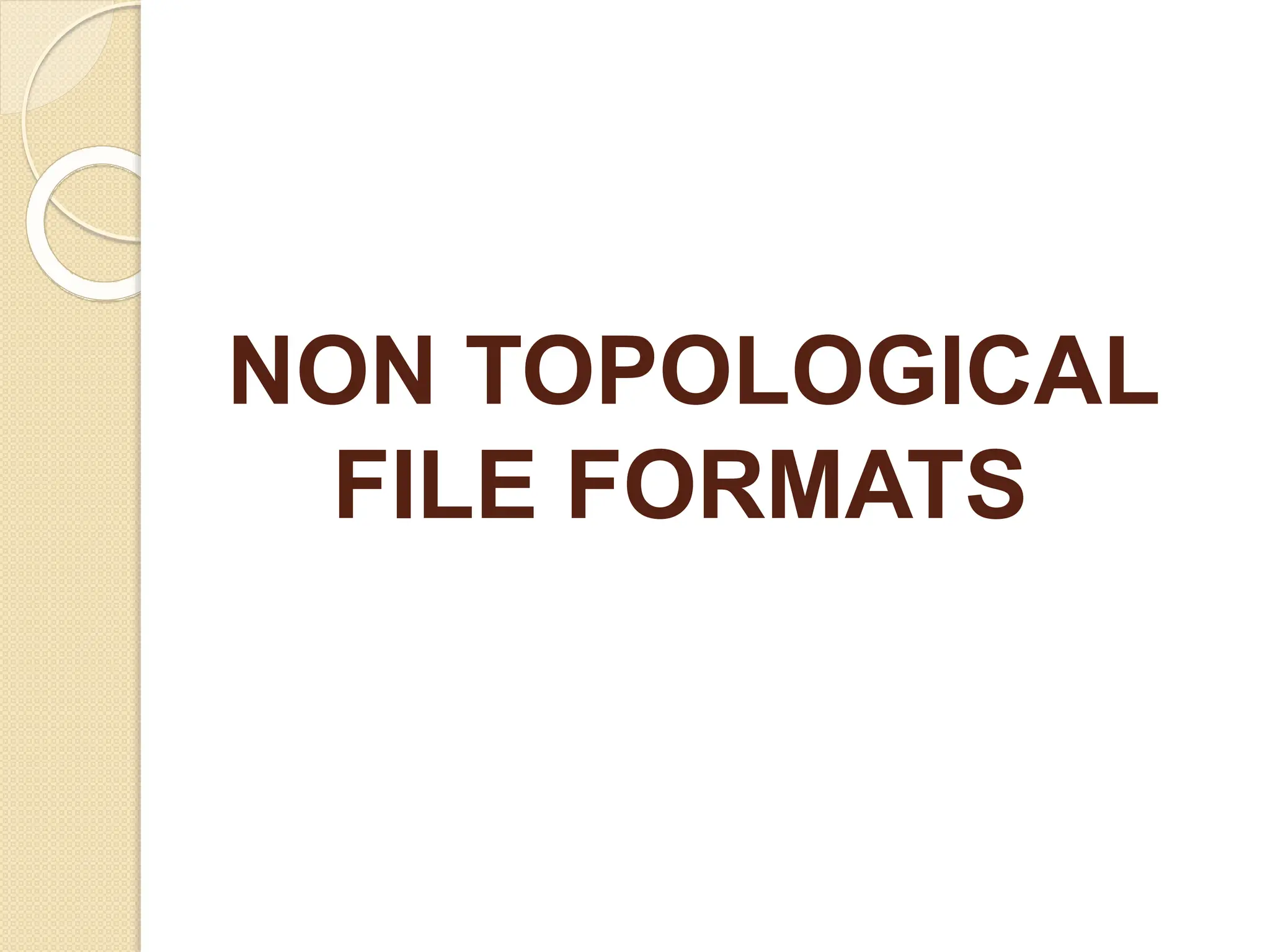 NON TOPOLOGICAL
FILE FORMATS
 