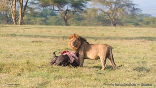 154
Commercial in confidence Photo by Markus Sandhofer on Unsplash
 