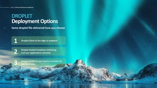 DROPLET APPLICATION DELIVERY SIMPLIFIED
DROPLET
Deployment Options
Same droplet file delivered how you choose
Droplet Client to the edge or endpoint
1
Droplet Hosted Containers delivering
end user applications remotely
2
Droplet server on any cloud or on prem via
any hypervisor
3
 