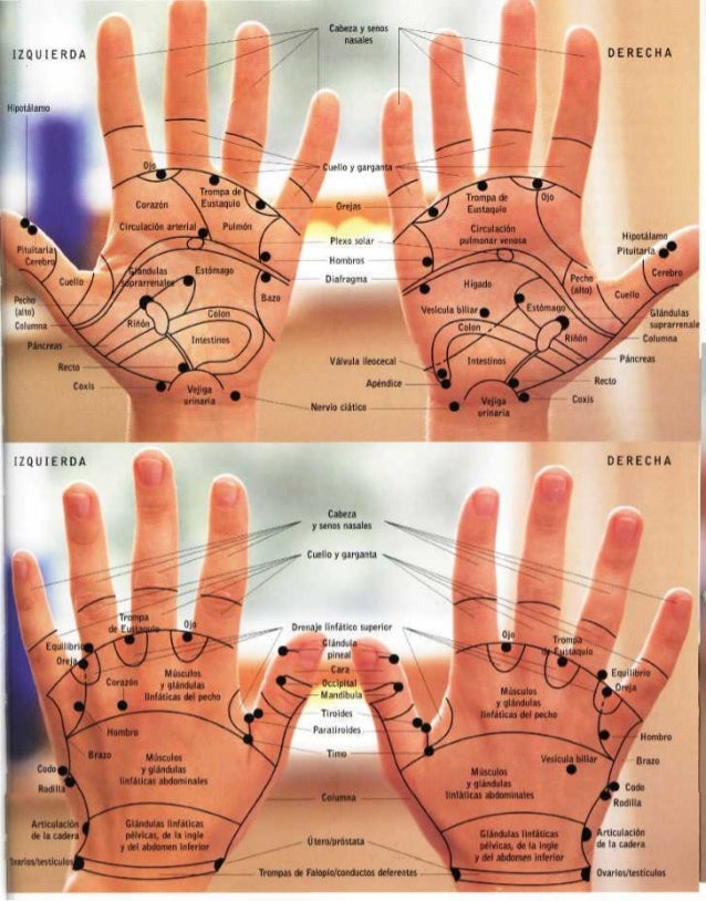 Digitopuntura yreflexologia manual Digitopuntura yreflexologia manual