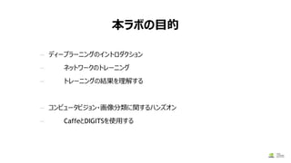 本ラボの目的
— ディープラーニングのイントロダクション
— ネットワークのトレーニング
— トレーニングの結果を理解する
— コンピュータビジョン・画像分類に関するハンズオン
— CaffeとDIGITSを使用する
9/26/2017
 