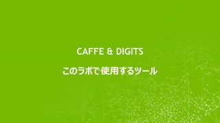 CAFFE & DIGITS
このラボで使用するツール
 
