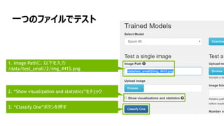一つのファイルでテスト
1. Image Pathに、以下を入力
/data/test_small/2/img_4415.png
2. “Show visualization and statistics”をチェック
3. “Classify One”ボタンを押す
 