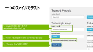 一つのファイルでテスト
1. Image Pathに、以下を入力
/notebooks/Dolphin2.jpg
2. “Show visualization and statistics”をチェック
3. “Classify One”ボタンを押す
 