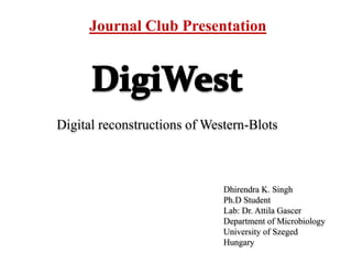 Digital reconstructions of Western-Blots
Dhirendra K. Singh
Ph.D Student
Lab: Dr. Attila Gascer
Department of Microbiology
University of Szeged
Hungary
Journal Club Presentation
 