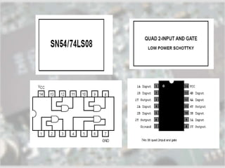 D igl elex-day5_recorded-lec