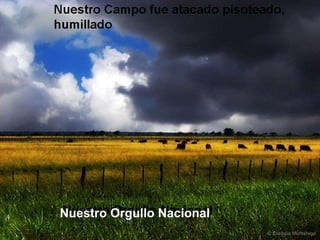 Nuestro Orgullo Nacional 