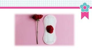 Dignidade Menstrual nas escolas da rede pública.pptx