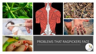 Dignify sanitation workers with namo's hands