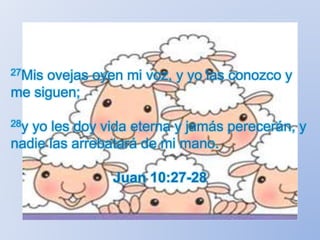 27Mis ovejas oyen mi voz, y yo las conozco y
me siguen;
28y yo les doy vida eterna y jamás perecerán, y
nadie las arrebatará de mi mano.
Juan 10:27-28