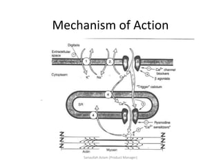 Mechanism of Action
Sanaullah Aslam (Product Manager)
 