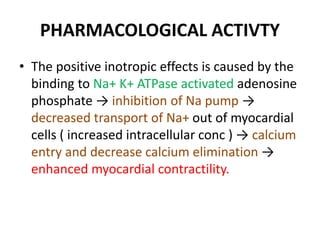 PHARMACOLOGICAL ACTIVTY
• The positive inotropic effects is caused by the
binding to Na+ K+ ATPase activated adenosine
phosphate → inhibition of Na pump →
decreased transport of Na+ out of myocardial
cells ( increased intracellular conc ) → calcium
entry and decrease calcium elimination →
enhanced myocardial contractility.
 