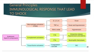 General Principles
IMMUNOLOGICAL RESPONSE THAT LEAD
TO SHOCK
 