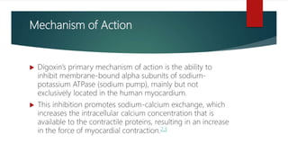 Mechanism of Action
 Digoxin’s primary mechanism of action is the ability to
inhibit membrane-bound alpha subunits of sodium-
potassium ATPase (sodium pump), mainly but not
exclusively located in the human myocardium.
 This inhibition promotes sodium-calcium exchange, which
increases the intracellular calcium concentration that is
available to the contractile proteins, resulting in an increase
in the force of myocardial contraction.2,3
 