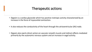 Therapeutic actions
• Digoxin is a cardiac glycoside which has positive inotropic activity characterized by an
increase in the force of myocardial contraction.
• It also reduces the conductivity of the heart through the atrioventricular (AV) node.
• Digoxin also exerts direct action on vascular smooth muscle and indirect effects mediated
primarily by the autonomic nervous system and an increase in vagal activity.
 
