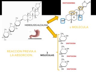 HIDROLISISALCALINA
1 MOLECULA
3
MOLECULAS
REACCION PREVIA A
LA ABSORCION.
 
