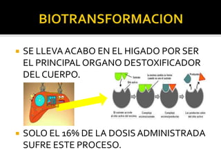  SE LLEVAACABO EN EL HIGADO POR SER
EL PRINCIPAL ORGANO DESTOXIFICADOR
DEL CUERPO.
 SOLO EL 16% DE LA DOSIS ADMINISTRADA
SUFRE ESTE PROCESO.
 