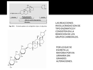 LAS REACCIONES
INVOLUCRADAS SON DE
TIPO ENZIMATICOY
CONSISTEN EN LA
REMOCION DE LOS
GRUPOSCARBOXILOS.
POR LO QUE SE
ESCRETA LA
MAYORIA PORVIA
URINARIA SIN
GRANDES
ALTERACIONES.
 