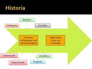 Ansiolítico
Primeras
civilizaciones uso
de la hoja digital
Escrófula
Epilepsia
Hidropesía
Lesiones piel
Expectorante Purgante
Edad media
↓ Uso por
↑ toxicidad
 