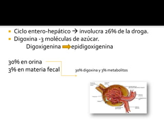  Ciclo entero-hepático  involucra 26% de la droga.
 Digoxina -3 moléculas de azúcar.
Digoxigenina epidigoxigenina
30% en orina
3% en materia fecal 30% digoxina y 3% metabolitos
 