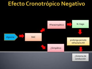 digoxina SNC
N.Vago
prolonga periodo
refractario AV
↓Sistema de
conducción
↓Simpático
↑Parasimpático
 