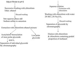 Aqueous solution
Extraction with
chloroform
Washing with chloroform with water
2N HCl, 2N Na2CO3.
Discard washing
Separation of glycoside by
chromatography
Elution with chloroform
& chloroform containing graded
proportion of methanol
Adjust filtrate to pH 6
Successive washing with chloroform
Ether. ethanol
Discard washing
Into aqueous phase add
Sodium sulfate to saturation
Extraction with chloroform ethanol mixture
Acetylation/ benzoylation
of more polar glycoside
KHCO3
Separation of individual glycoside
By chromatography
Less polar
glycoside
 