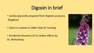 Digoxin in brief
• Cardiac glycoside prepared from Digitalis purpurea
(foxglove)
• Used as a poison in olden days for hunting
• Accidental discovery of its cardiac effects by
Dr. Witherberg
 
