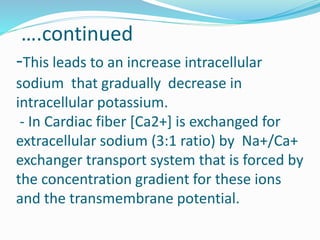 ….continued
-This leads to an increase intracellular
sodium that gradually decrease in
intracellular potassium.
- In Cardiac fiber [Ca2+] is exchanged for
extracellular sodium (3:1 ratio) by Na+/Ca+
exchanger transport system that is forced by
the concentration gradient for these ions
and the transmembrane potential.
 