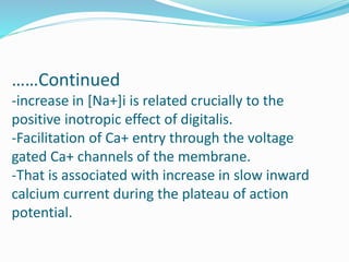 ……Continued
-increase in [Na+]i is related crucially to the
positive inotropic effect of digitalis.
-Facilitation of Ca+ entry through the voltage
gated Ca+ channels of the membrane.
-That is associated with increase in slow inward
calcium current during the plateau of action
potential.
 