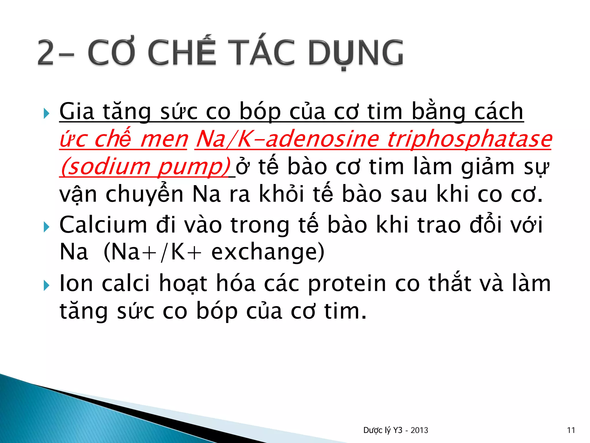  Gia tăng sức co bóp của cơ tim bằng cách
ức chế men Na/K-adenosine triphosphatase
(sodium pump) ở tế bào cơ tim làm giảm sự
vận chuyển Na ra khỏi tế bào sau khi co cơ.
 Calcium đi vào trong tế bào khi trao đổi với
Na (Na+/K+ exchange)
 Ion calci hoạt hóa các protein co thắt và làm
tăng sức co bóp của cơ tim.
Dược lý Y3 - 2013 11
 
