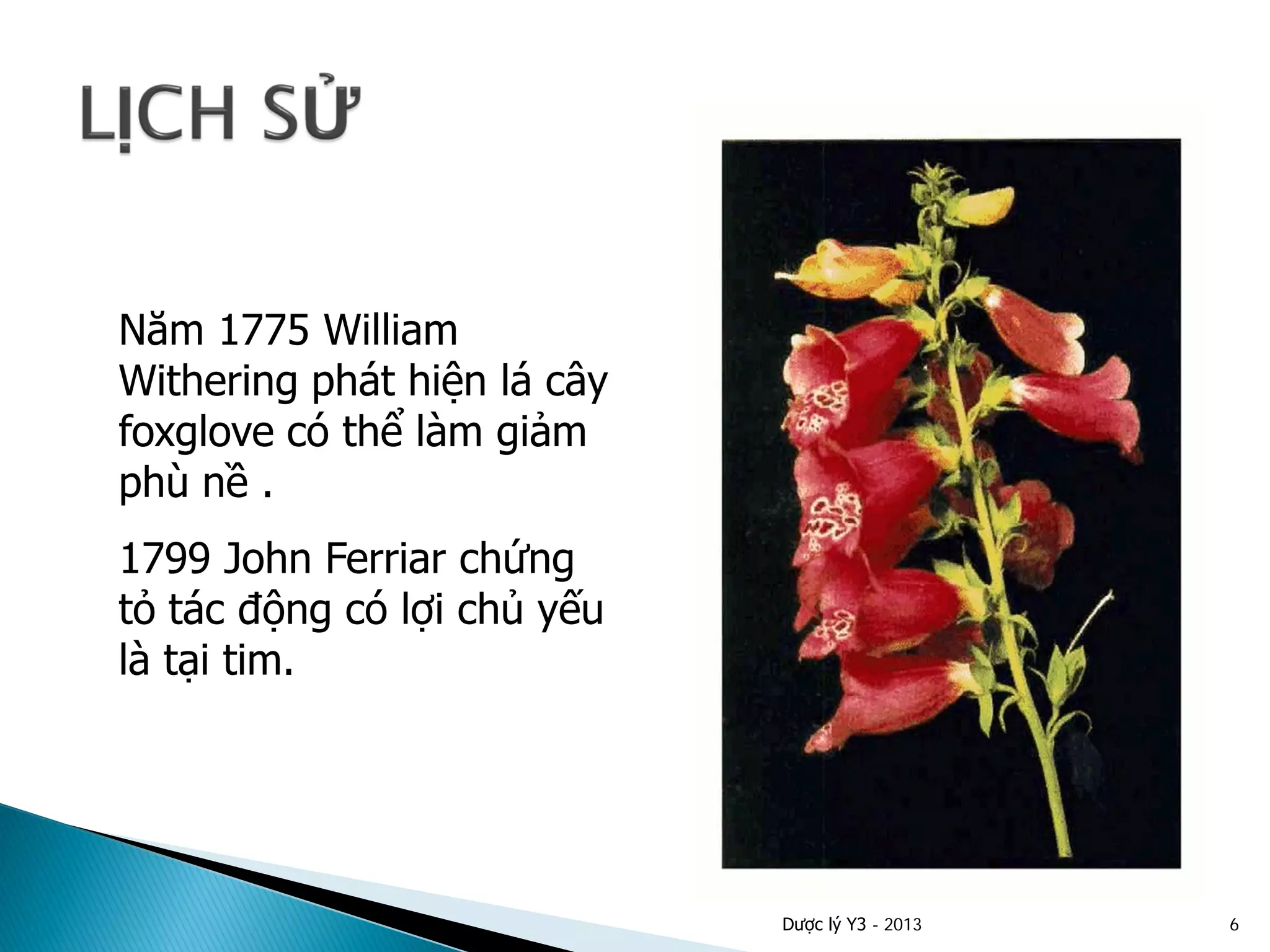 Năm 1775 William
Withering phát hiện lá cây
foxglove có thể làm giảm
phù nề .
1799 John Ferriar chứng
tỏ tác động có lợi chủ yếu
là tại tim.
Dược lý Y3 - 2013 6
 