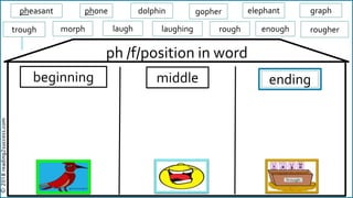 beginning gimiddle
ph /f/position in word
ending
©2018reading2success.com
pheasant phone dolphin gopher elephant graph
trough morph laugh laughing rough enough rougher
 