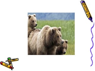 Phonics Digraphs air,are,ear