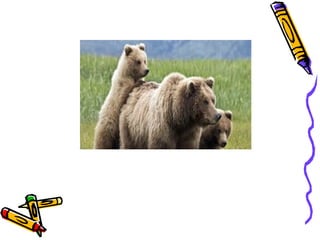 Phonics Digraphs air,are,ear