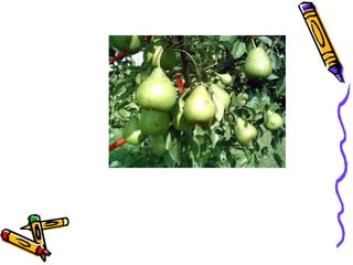 Phonics Digraphs air,are,ear