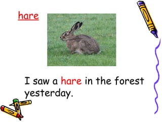 hare
I saw a hare in the forest
yesterday.
 