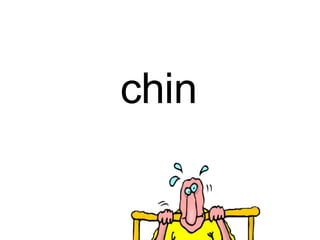 chin
 