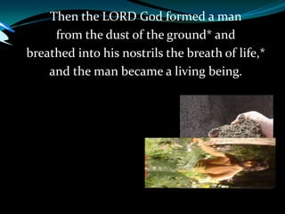 Then the LORD God formed a man
from the dust of the ground* and
breathed into his nostrils the breath of life,*
and the man became a living being.
 