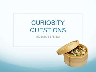 CURIOSITY
QUESTIONS
 DIGESTIVE SYSTEM
 