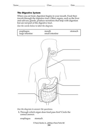 Name____________________________ Class__________________ Date __________
© Pearson Education, Inc., publishing as Pearson Prentice Hall.
380
The Digestive System
When you eat food, digestion begins in your mouth. Food then
travels through the digestive tract. Other organs, such as the liver
and salivary glands, produce secretions that help with digestion
but are not part of the digestive tract.
Use the words below to label the diagram.
esophagus mouth stomach
large intestine small intestine
Use the diagram to answer the questions.
1. Through which organ does food pass first? Circle the
correct answer.
esophagus stomach
 