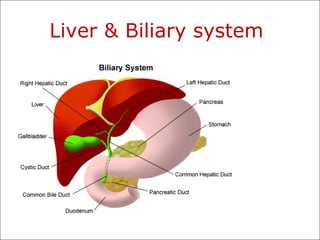 Liver & Biliary system
 