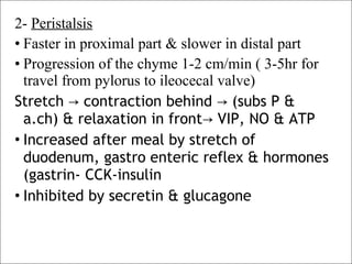 2- Peristalsis
• Faster in proximal part & slower in distal part
• Progression of the chyme 1-2 cm/min ( 3-5hr for
travel from pylorus to ileocecal valve)
Stretch contraction behind (subs P &→ →
a.ch) & relaxation in front VIP, NO & ATP→
• Increased after meal by stretch of
duodenum, gastro enteric reflex & hormones
(gastrin- CCK-insulin
• Inhibited by secretin & glucagone
 