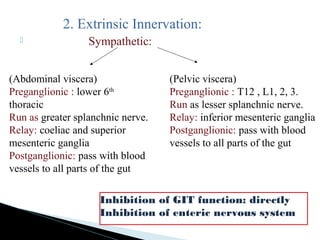 2. Extrinsic Innervation:
 Sympathetic:
(Abdominal viscera)
Preganglionic : lower 6th
thoracic
Run as greater splanchnic nerve.
Relay: coeliac and superior
mesenteric ganglia
Postganglionic: pass with blood
vessels to all parts of the gut
(Pelvic viscera)
Preganglionic : T12 , L1, 2, 3.
Run as lesser splanchnic nerve.
Relay: inferior mesenteric ganglia
Postganglionic: pass with blood
vessels to all parts of the gut
Inhibition of GIT function: directly
Inhibition of enteric nervous system
 