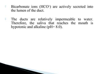  Bicarbonate ions (HCO3-
) are actively secreted into
the lumen of the duct.
 The ducts are relatively impermeable to water.
Therefore, the saliva that reaches the mouth is
hypotonic and alkaline (pH= 8.0).
 
