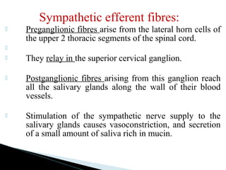Sympathetic efferent fibres:
 Preganglionic fibres arise from the lateral horn cells of
the upper 2 thoracic segments of the spinal cord.

 They relay in the superior cervical ganglion.
 Postganglionic fibres arising from this ganglion reach
all the salivary glands along the wall of their blood
vessels.
 Stimulation of the sympathetic nerve supply to the
salivary glands causes vasoconstriction, and secretion
of a small amount of saliva rich in mucin.
 